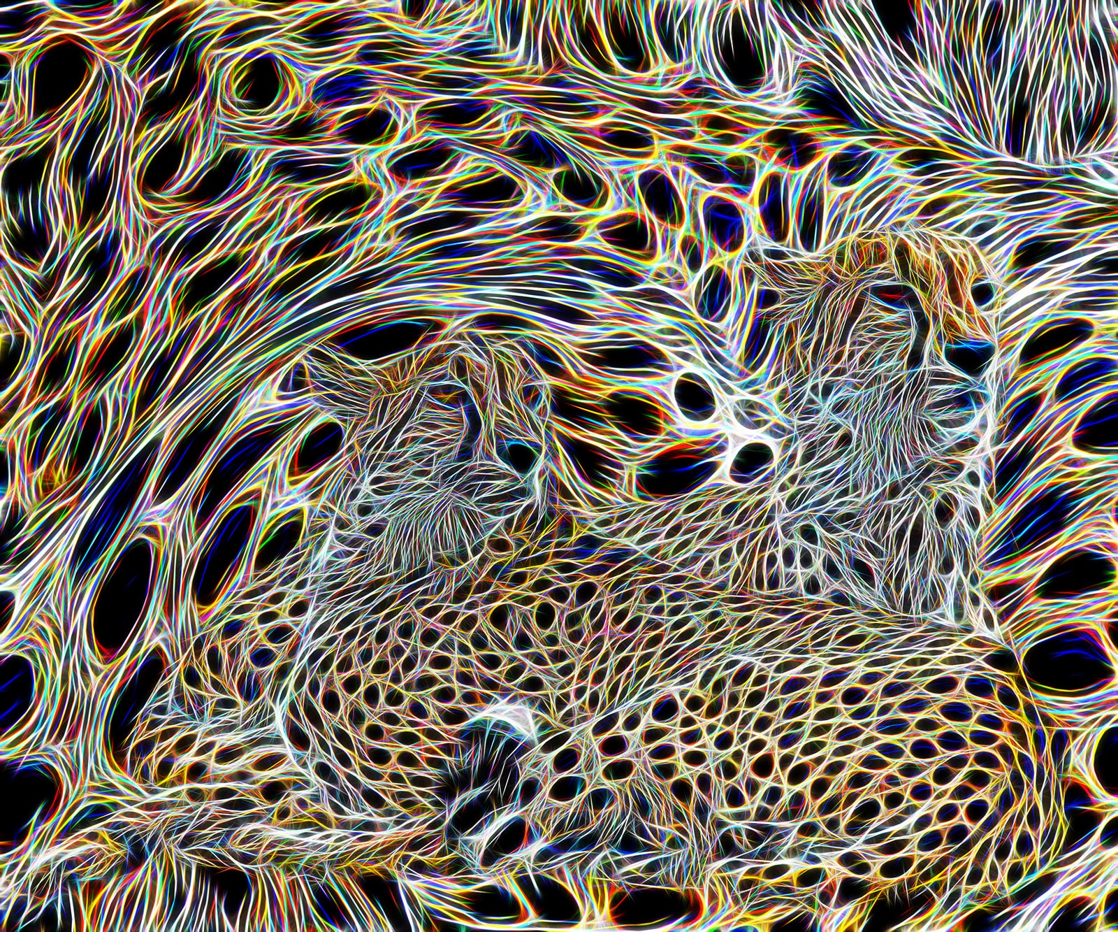 "Cheeta" Sublimation on Aluminum by Howard Harris