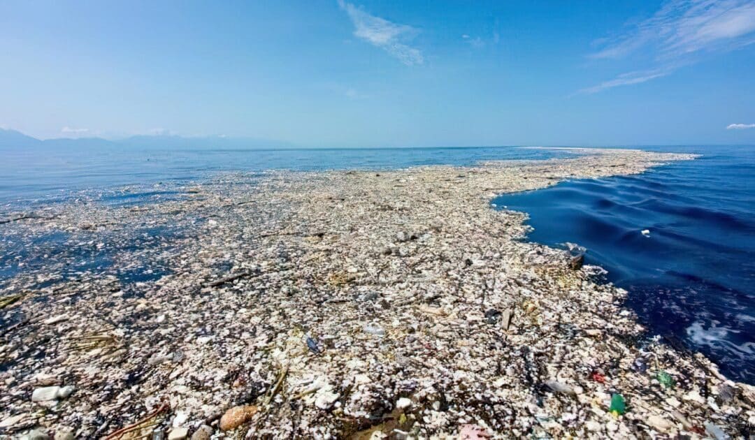 How Plastic Pollution is Killing Our Planet and What We Can Do to Save It by Tracey Chaykin