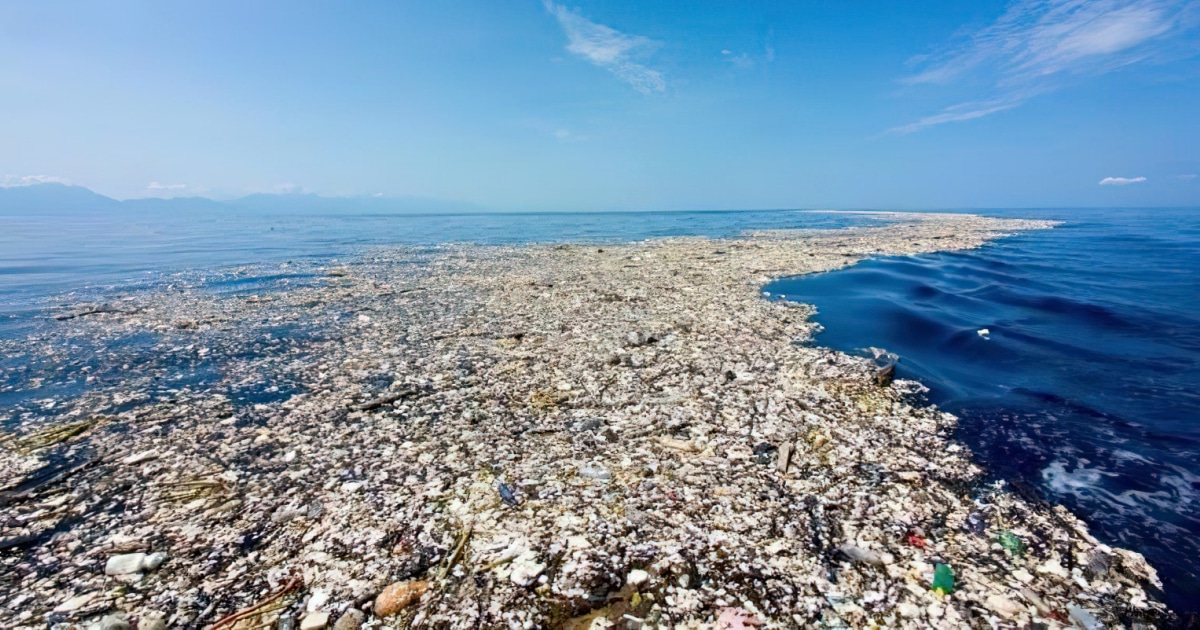 How Plastic Pollution is Killing Our Planet and What We Can Do to Save It by Tracey Chaykin