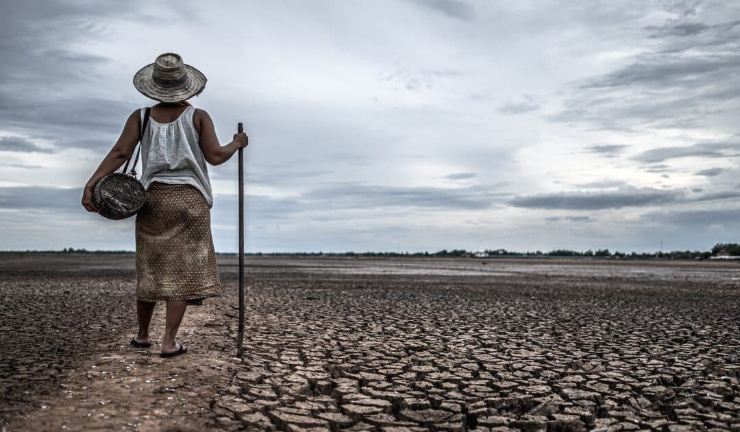 Water Shortages and Art Supply: An Alarming Connection