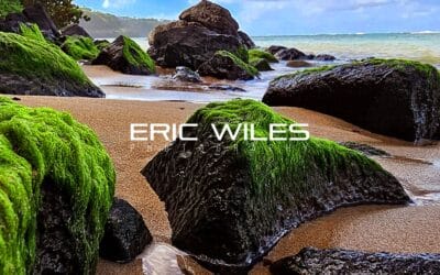 Eric Wiles