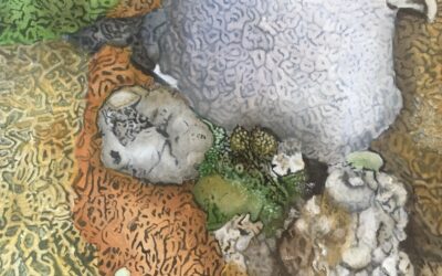 Margot McMahon: The Living World Within Our Reach