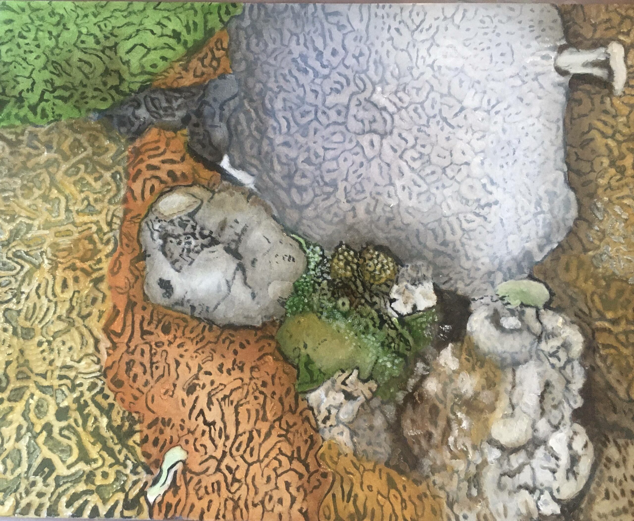 Margot McMahon: The Living World Within Our Reach | ArtTour International Brain coral forms patterned with winding lines in green, ochre, gray, and white.