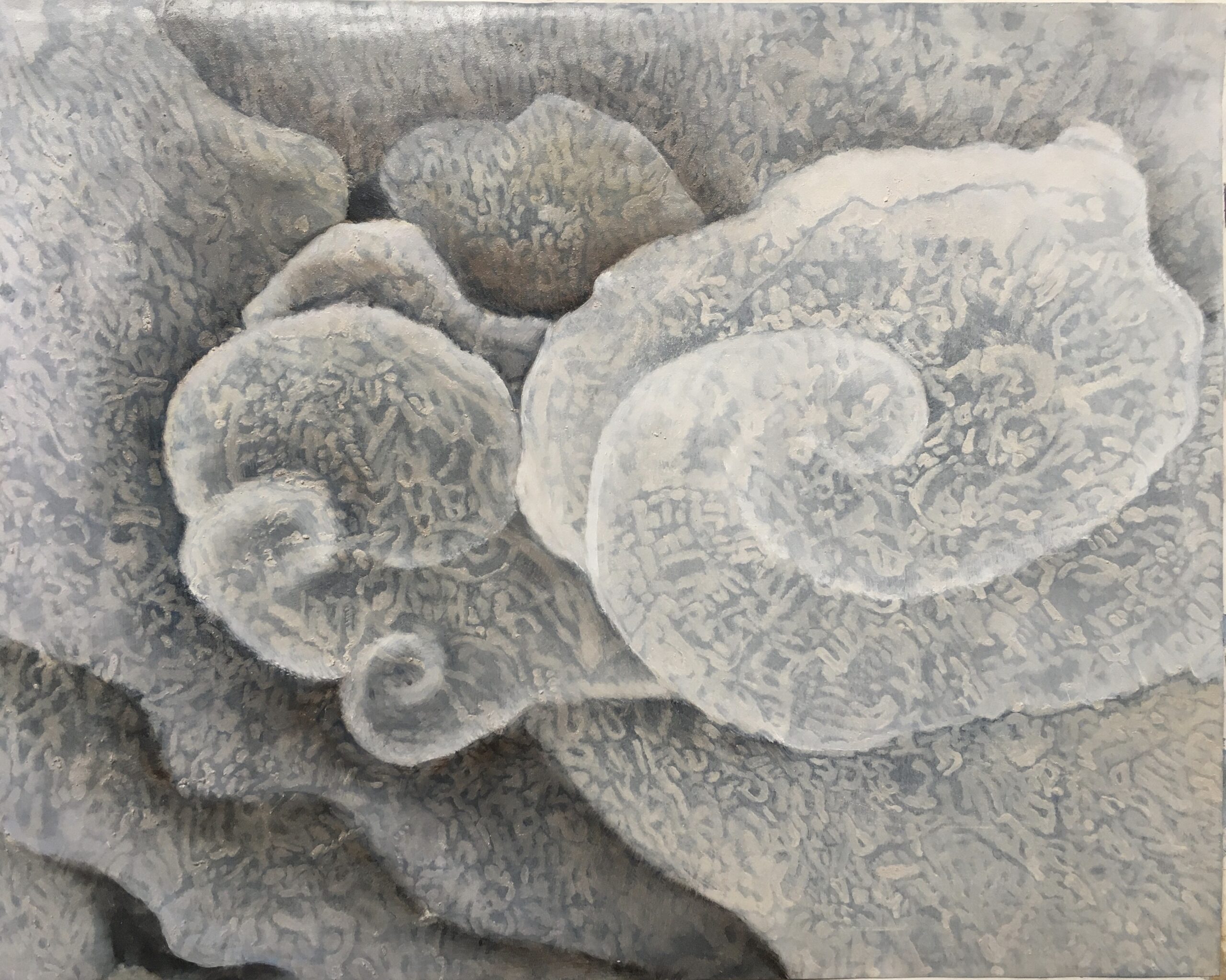 Margot McMahon: The Living World Within Our Reach | ArtTour International Overlapping pale coral forms covered in intricate gray spiraling patterns.