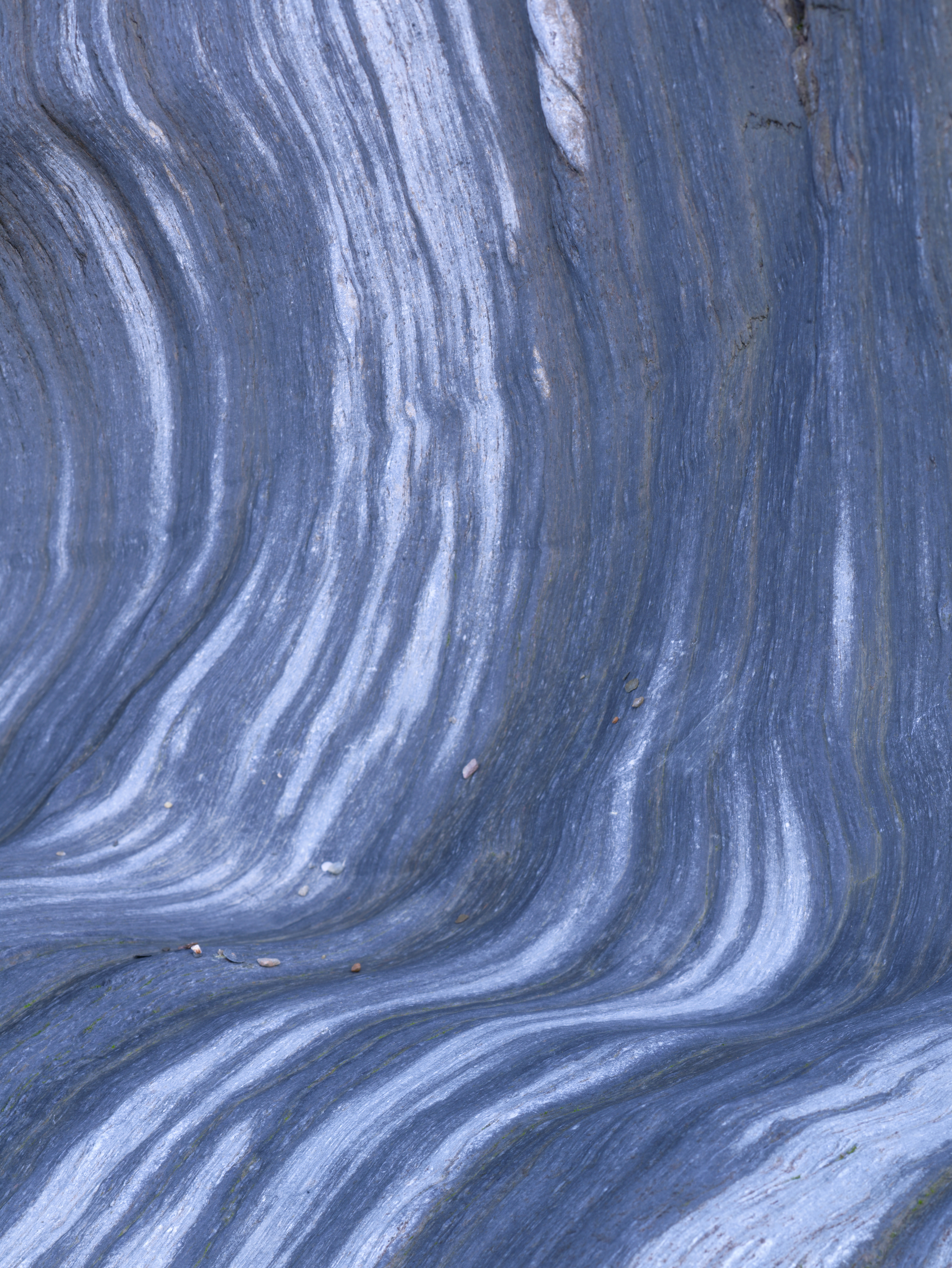 Despina Kyriacou: Nature Seen Through Its Own Patterns | ArtTour International Fine pale bands curving through a blue-gray natural surface with small fragments resting along its folds.