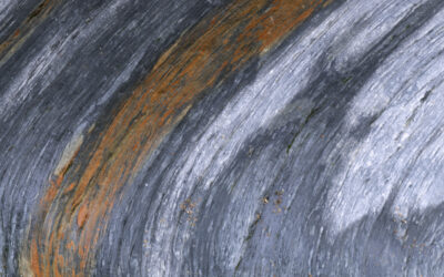 Despina Kyriacou: Nature Seen Through Its Own Patterns