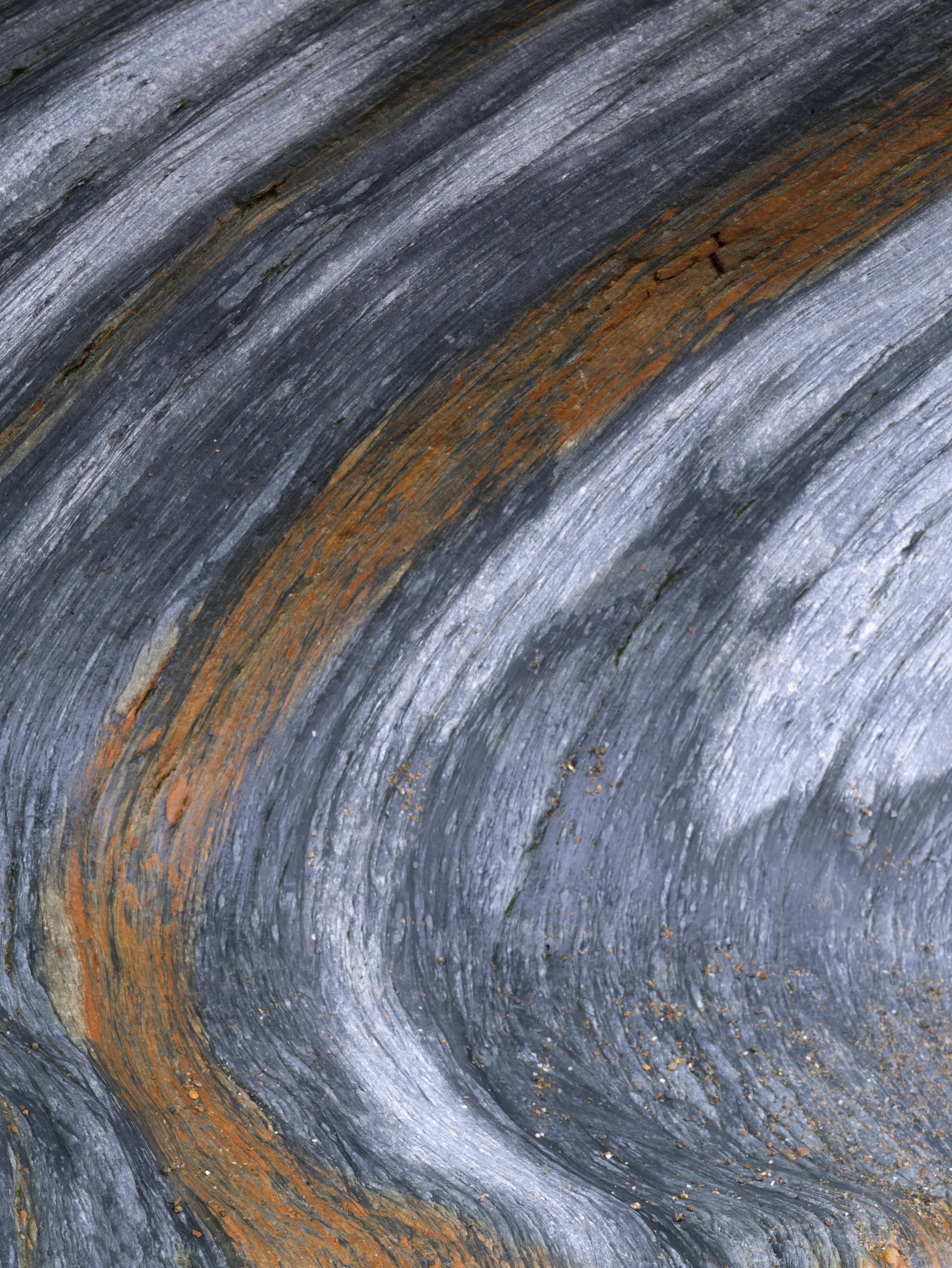 Field: featured image Curving pale gray and blue bands on a textured natural surface, with a broad orange passage flowing through the composition.