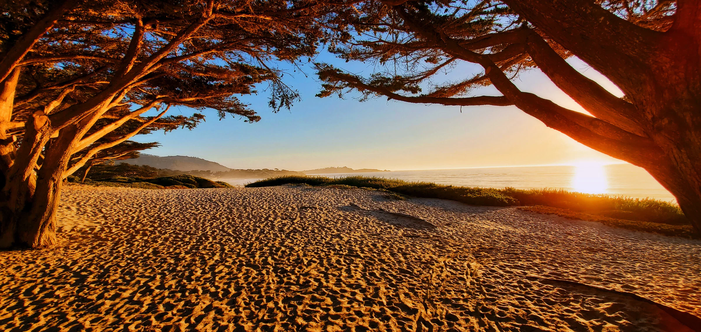 Eric Wiles: Where the Light Invites Us to Stay | ArtTour International Golden sunset light falls across sand beneath arching coastal trees beside the ocean.
