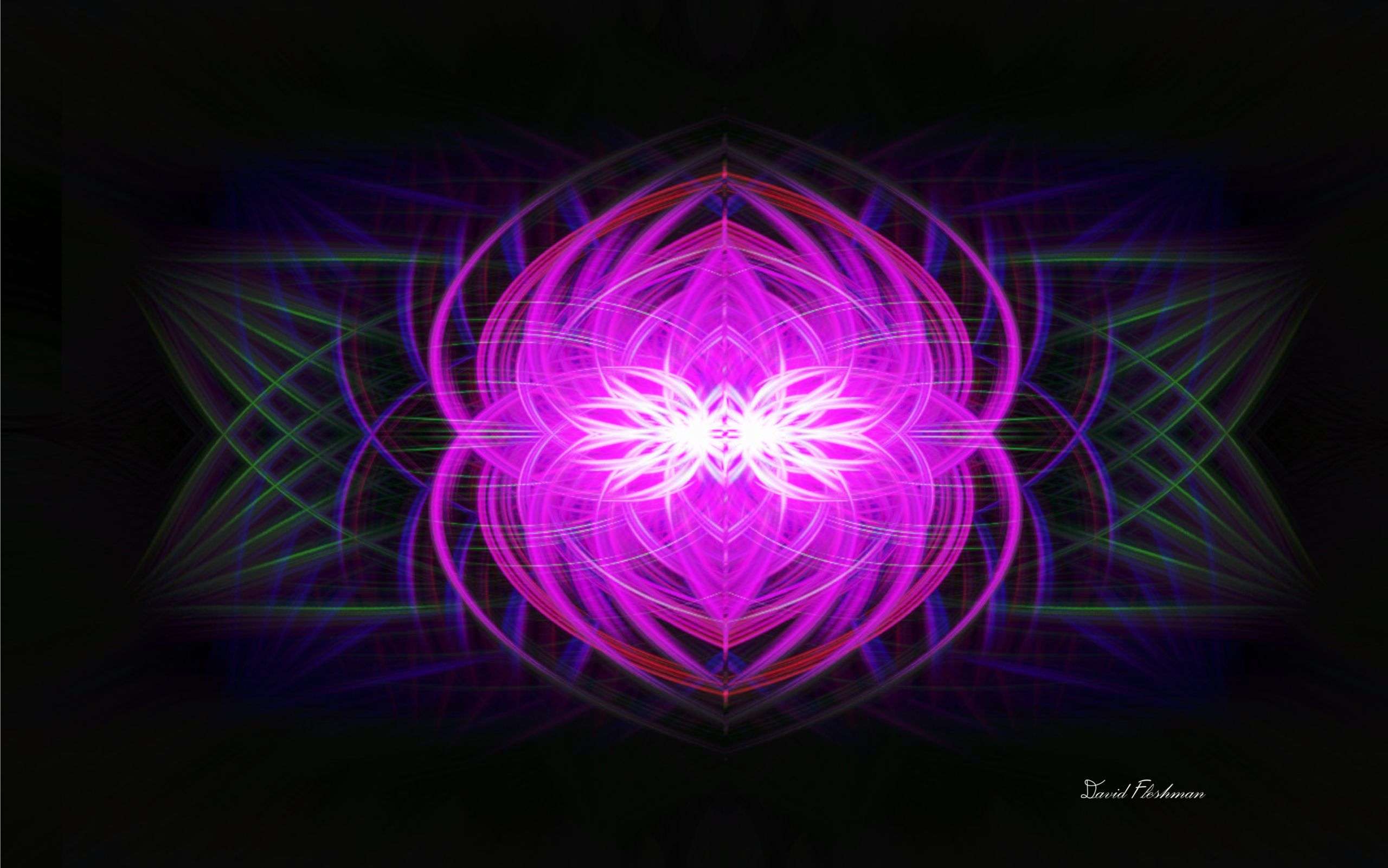 David Fleshman: Nature Held in Luminous Color | ArtTour International Two intertwined lotus forms rendered in luminous pink and purple lines with green accents against a black background.