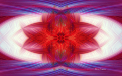 David Fleshman: Nature Held in Luminous Color