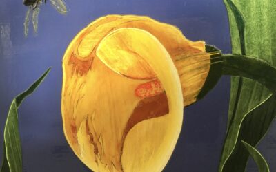 Gabriella Blakey: The Poetry Hidden in Wood