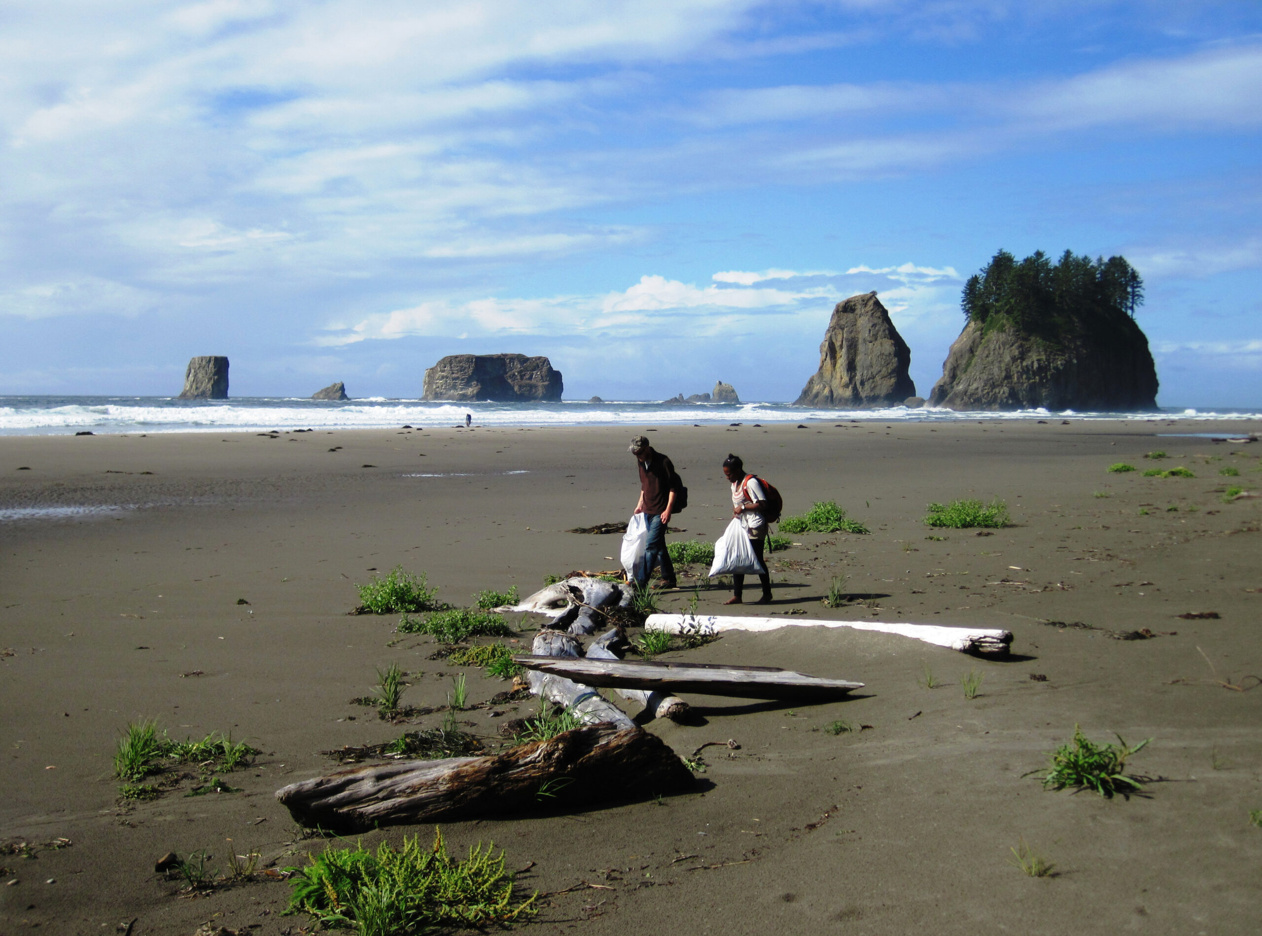 Field: featured image Volunteers sorting debris collected during a coastal cleanup