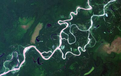 Sara Flores Paints the Amazon’s Interdependence Into the Global Art World