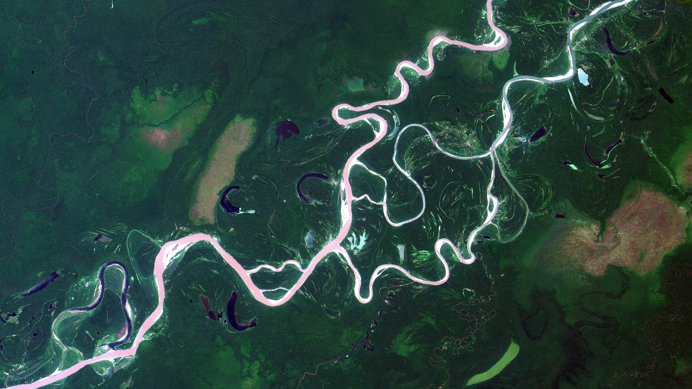 Field: featured image Satellite view of the winding Ucayali River and surrounding Amazon forest in Peru