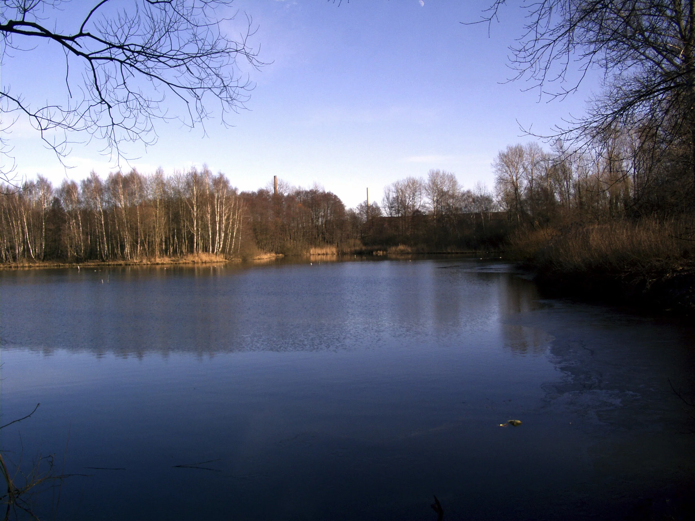 Field: featured image Reeds and still water in the Teufelspfuhl swampland near Berlin